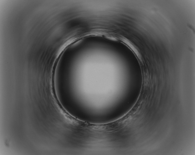 X0000091900861200709051402