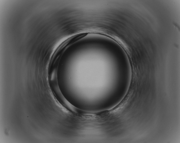 X0000091900862200709051402