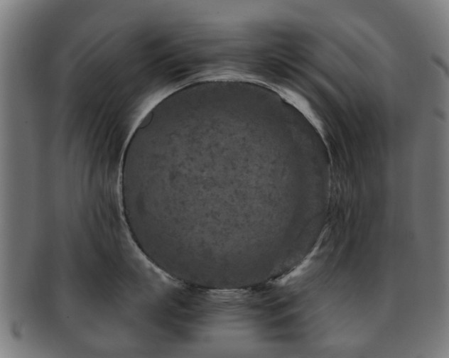 X0000091900863200709051402