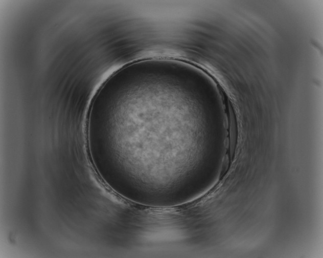 X0000091900864200709051402