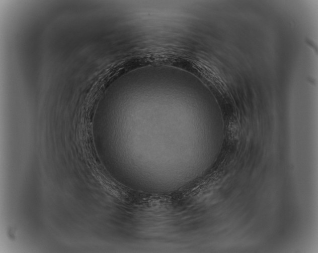 X0000091900865200709051401
