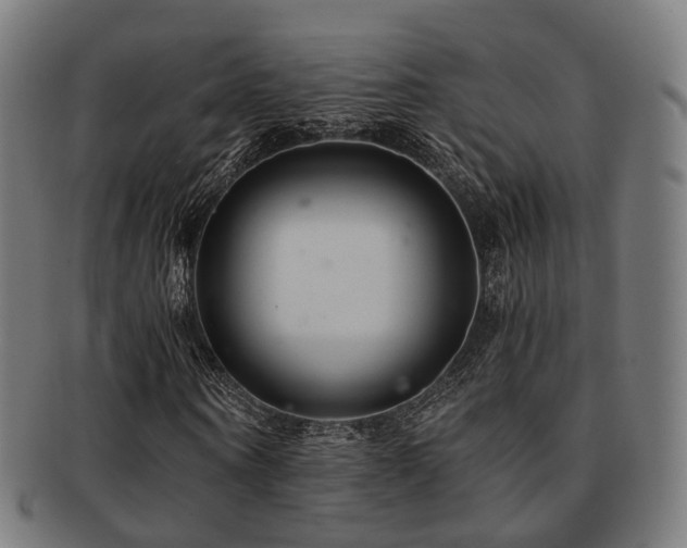 X0000091900866200709051401
