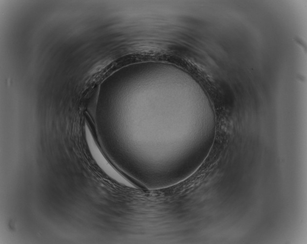 X0000091900869200709051401