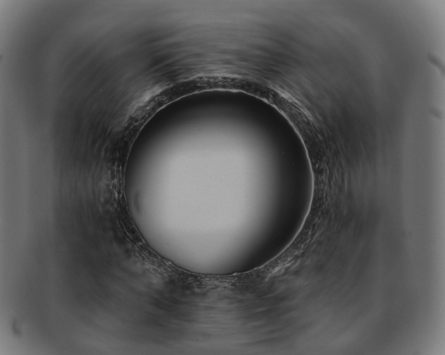 X0000091900870200709051401