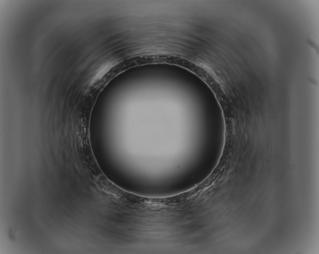 X0000091900871200709051401