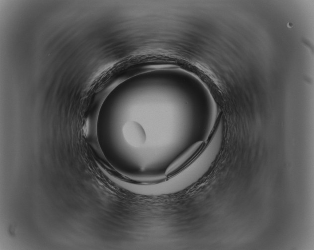 X0000091900872200709051401