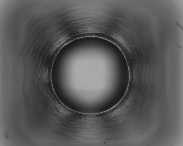 X0000091900873200709051401