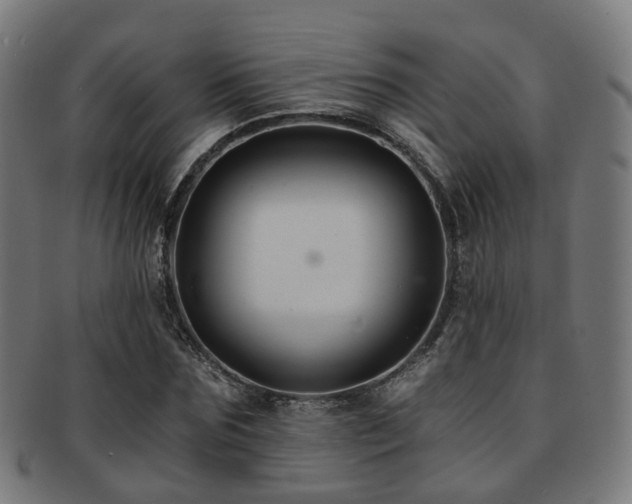 X0000091900875200709051401