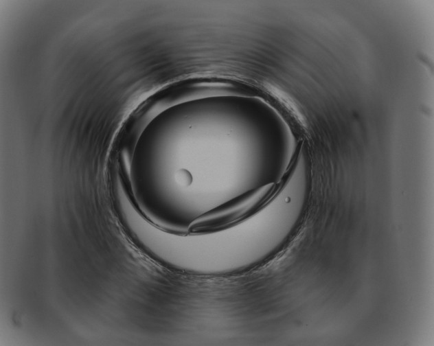 X0000091900876200709051401