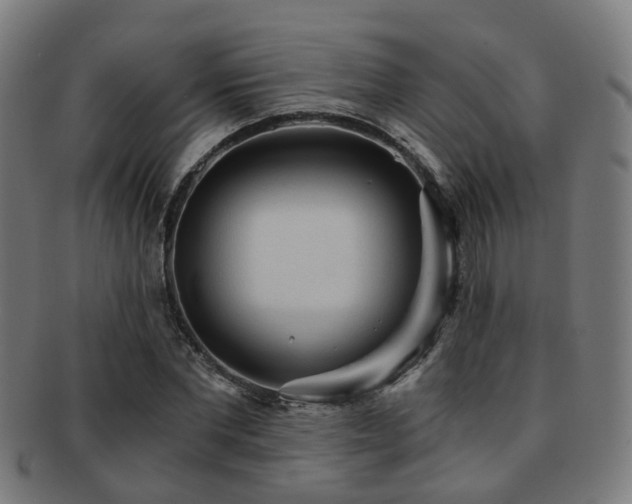 X0000091900877200709051401