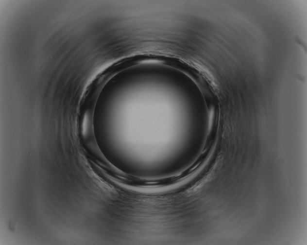 X0000091900880200709051401