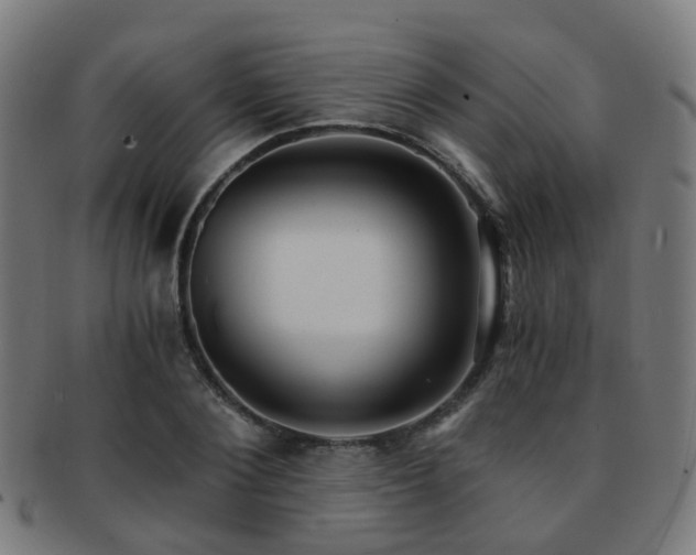 X0000091900884200709051401