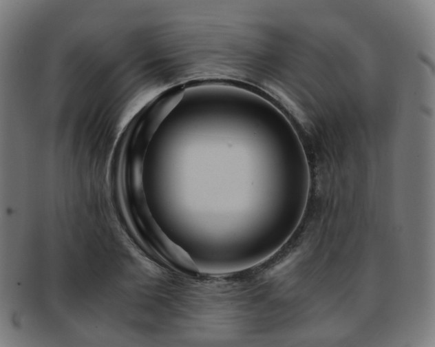 X0000091900885200709051401