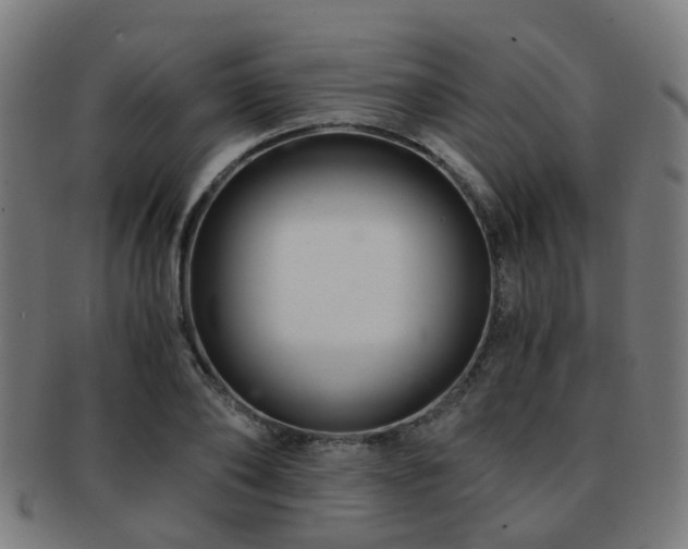 X0000091900886200709051401