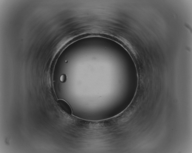 X0000091900887200709051401