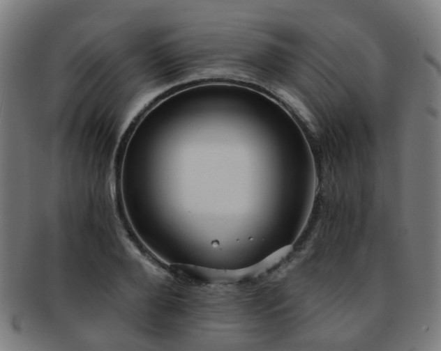 X0000091900888200709051401
