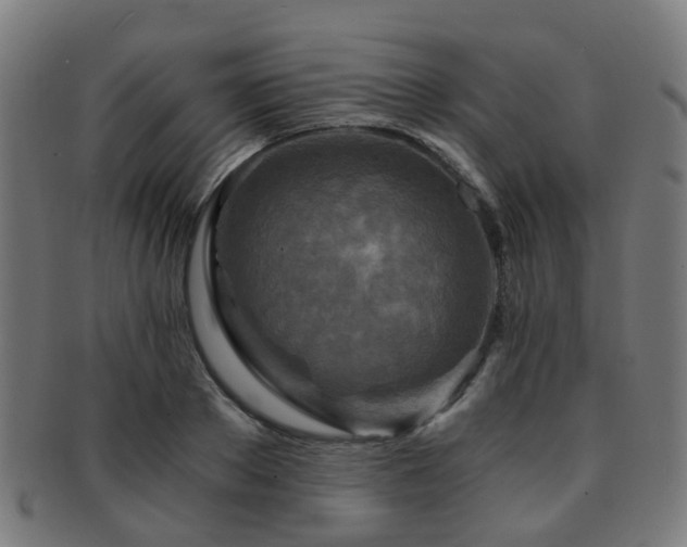 X0000091900889200709051401