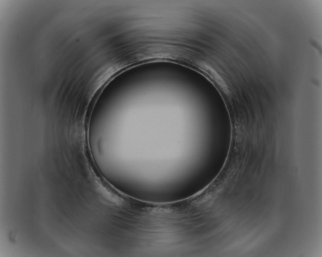 X0000091900890200709051401
