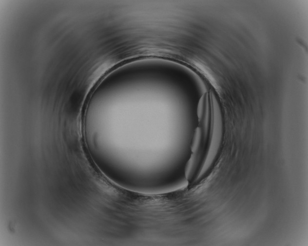 X0000091900891200709051401