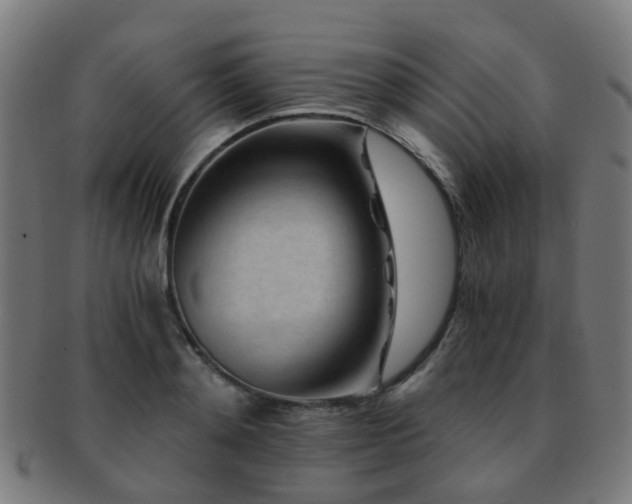 X0000091900892200709051400