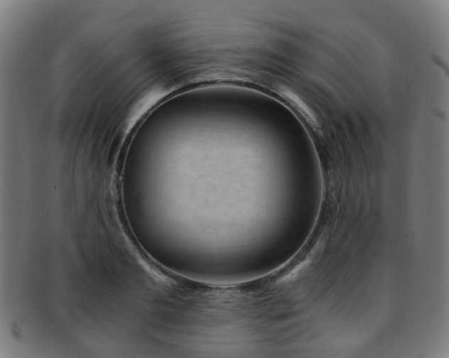 X0000091900893200709051400
