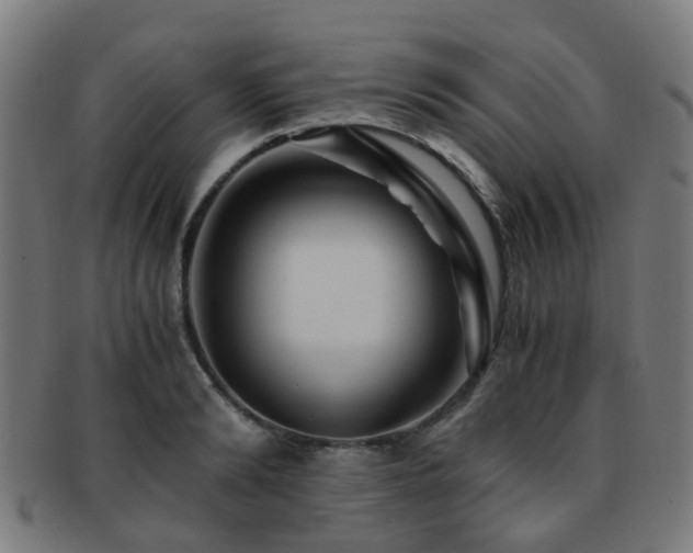 X0000091900894200709051400