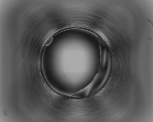 X0000091900896200709051400