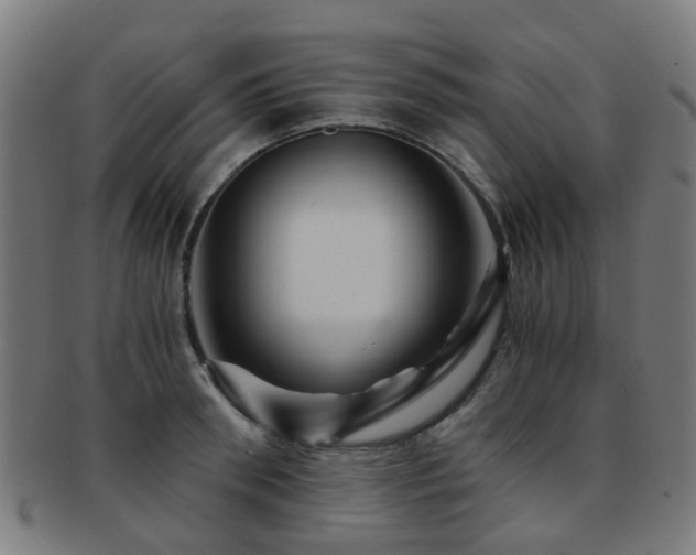 X0000091900898200709051400