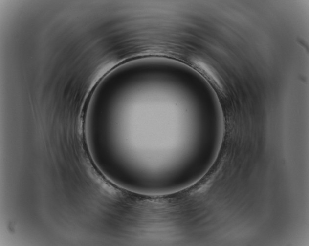 X0000091900900200709051400