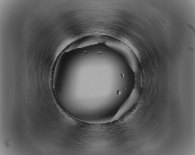 X0000091900901200709051400