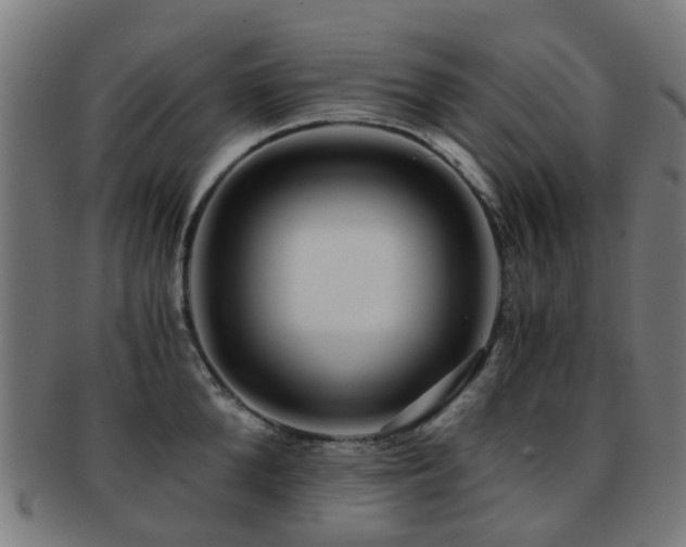 X0000091900904200709051400