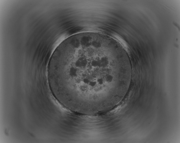 X0000091900907200709051400