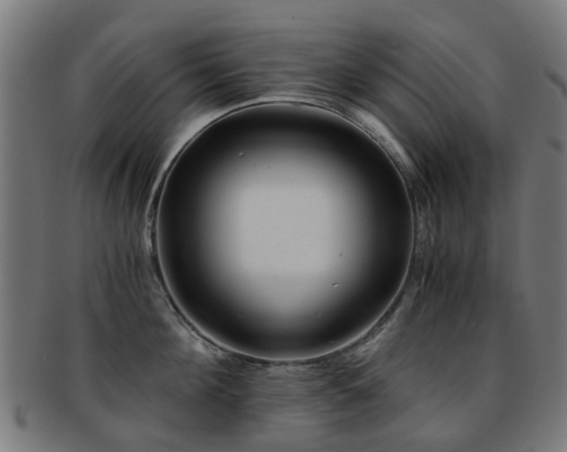 X0000091900908200709051400