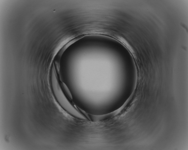 X0000091900909200709051400