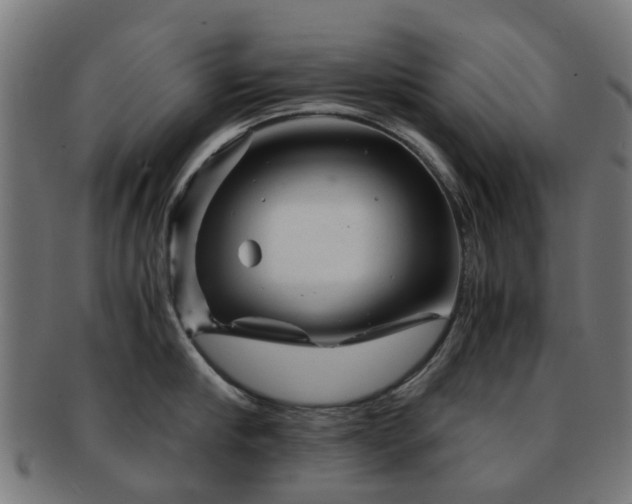 X0000091900910200709051400