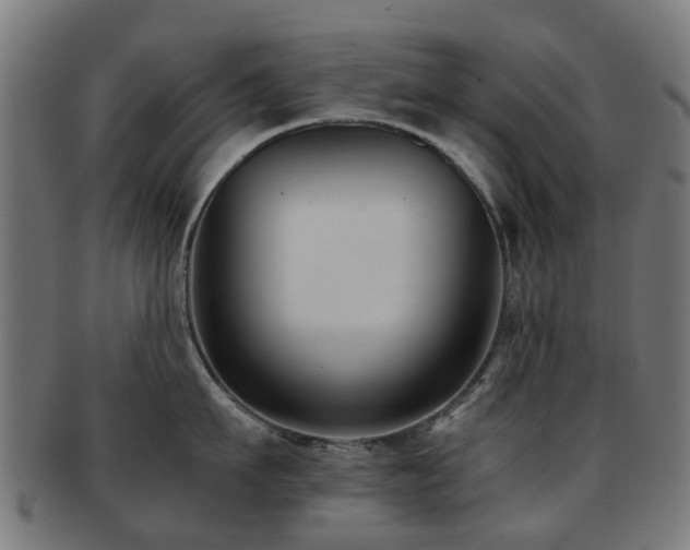 X0000091900911200709051400