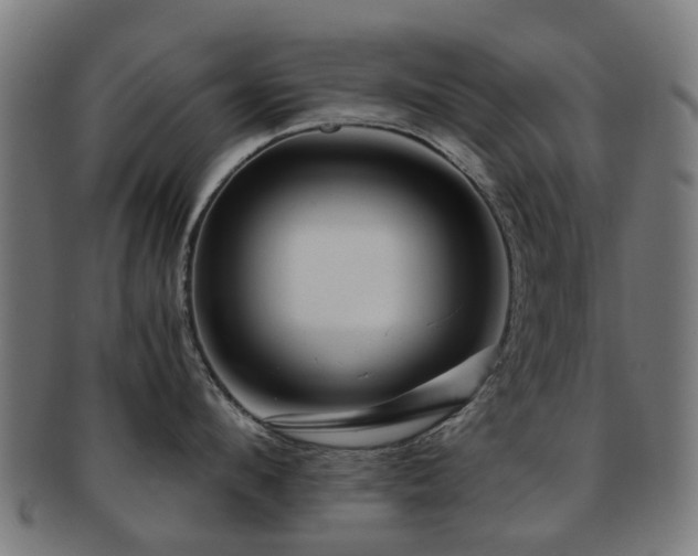 X0000091900912200709051400