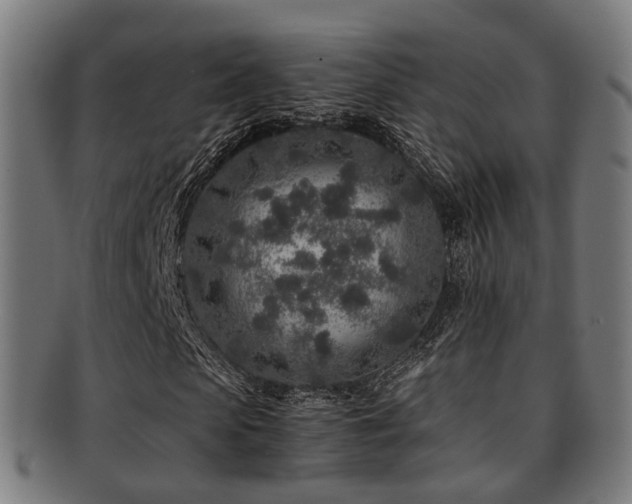 X0000091900913200709051400