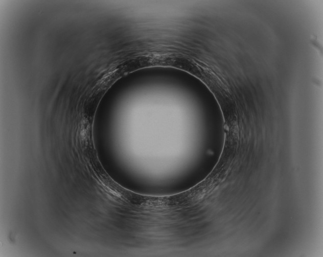X0000091900914200709051400