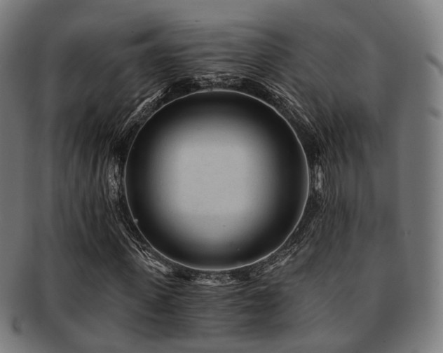 X0000091900915200709051400
