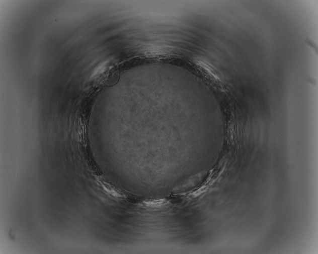 X0000091900917200709051400