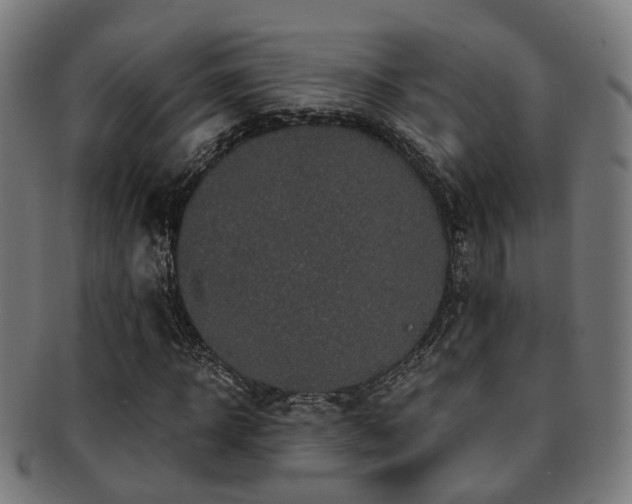 X0000091900918200709051400