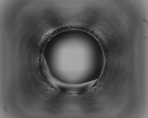 X0000091900920200709051400