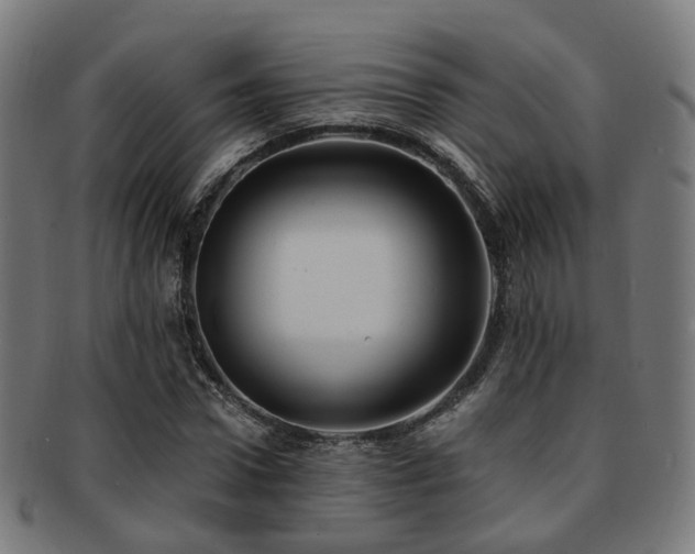 X0000091900922200709051400
