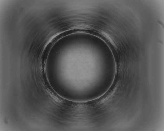 X0000091900923200709051400