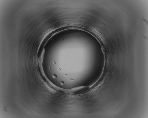 X0000091900924200709051400