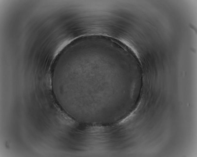 X0000091900925200709051400