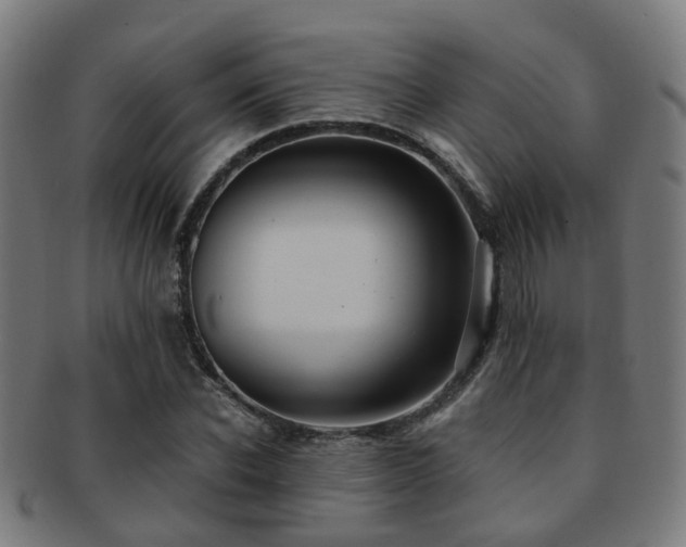 X0000091900926200709051400