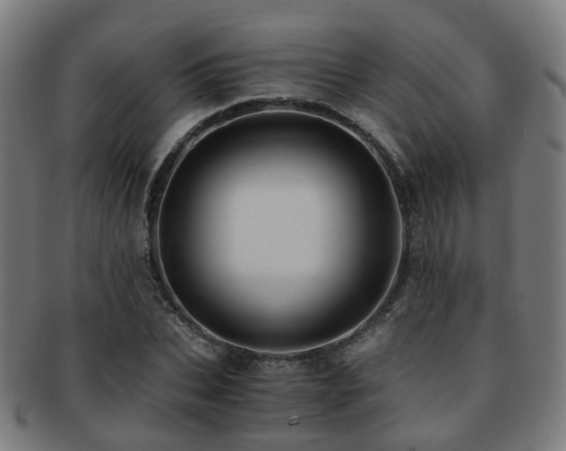 X0000091900927200709051400