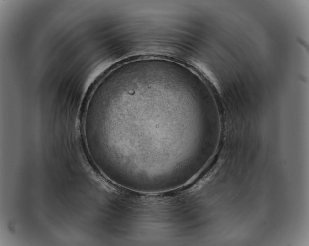 X0000091900928200709051400